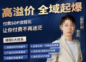 逸风-拼多多高溢价全域起爆，6大课程体系，付费玩法全套实操-最全资源库