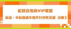 松鼠会电商VIP教程：松鼠《付费推广标品·半标直通车操作针对性答疑&诊断》-最全资源库