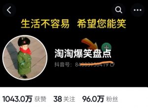 价值1000的搞笑盘点大V淘淘爆笑盘点详细课程+软件，中视频变现-最全资源库