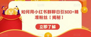 如何用小红书群聊日引300+精准粉丝【揭秘】-最全资源库