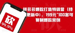 拼多多爆款打造特训营(持续更新中),199元*100套可复制爆款案例-最全资源库