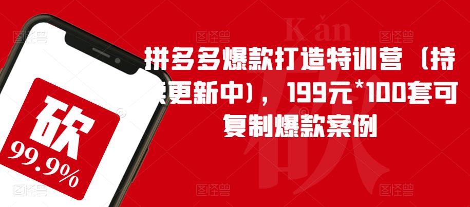 拼多多爆款打造特训营(持续更新中),199元*100套可复制爆款案例-最全资源库