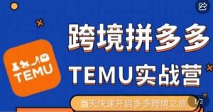 大鹏出海·拼多多跨境temu运营指导，开店注册+选品+核价上架，日出千单实战课-最全资源库