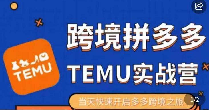 大鹏出海·拼多多跨境temu运营指导，开店注册+选品+核价上架，日出千单实战课-最全资源库