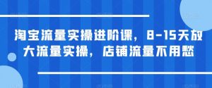 淘宝流量实操进阶课，8-15天放大流量实操，店铺流量不用愁-最全资源库