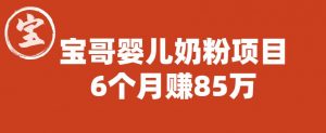 宝哥婴儿奶粉项目，6个月赚85w【图文非视频】【揭秘】-最全资源库
