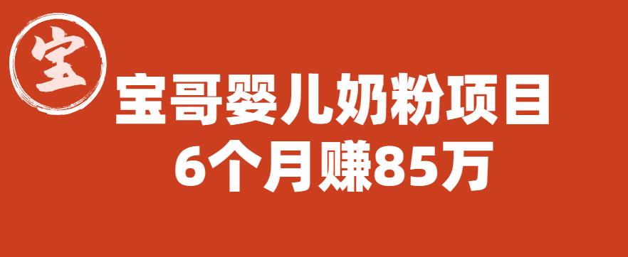 宝哥婴儿奶粉项目,6个月赚85w【图文非视频】【揭秘】-最全资源库