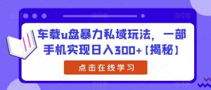 车载u盘暴力私域玩法，一部手机实现日入300+【揭秘】-最全资源库