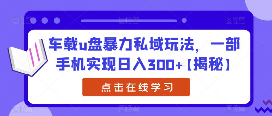 车载u盘暴力私域玩法，一部手机实现日入300+【揭秘】-最全资源库