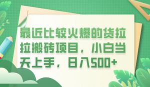 最近比较火爆的货拉拉搬砖项目，小白当天上手，日入500+【揭秘】-最全资源库