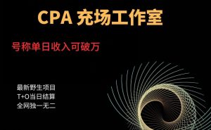 张子凡·20年实战经验，揭秘营销背后的底层逻辑，突破思维局限，从根本上破解营销难题-最全资源库