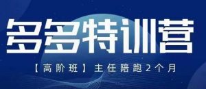 纪主任·5月最新多多特训营高阶班，玩法落地实操，多多全掌握-最全资源库