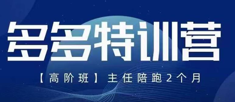 纪主任·5月最新多多特训营高阶班，玩法落地实操，多多全掌握-最全资源库