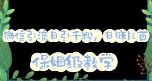 微信互推圈半自动引流方案，矩阵操作日引千人思路【详细视频教程】-最全资源库
