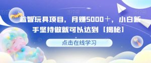 益智玩具项目，月赚5000＋，小白新手坚持做就可以达到【揭秘】-最全资源库