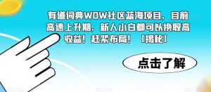有道词典WOW社区蓝海项目，目前高速上升期，新人小白都可以换取高收益！赶紧布局！【揭秘】-最全资源库