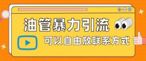 油管暴力引流，可以自由放联系方式【揭秘】-最全资源库