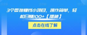 3个零撸赚钱小项目，操作简单，轻松日赚100+【揭秘】-最全资源库