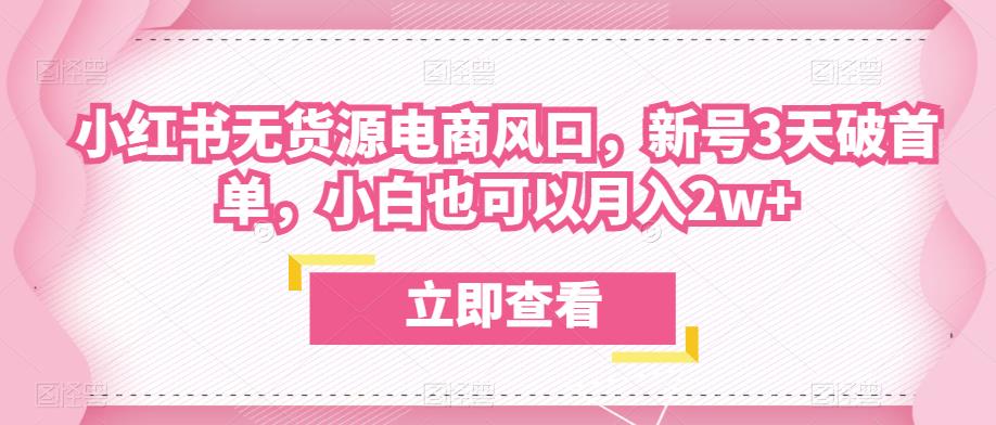 众狼电商余文小红书无货源电商风口,新号3天破首单,小白也可以月入2w+-最全资源库