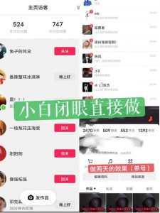 一天做完别一辈子的视频制作最近很火的《1000个野路子信息差》100%过原创【揭秘】-最全资源库