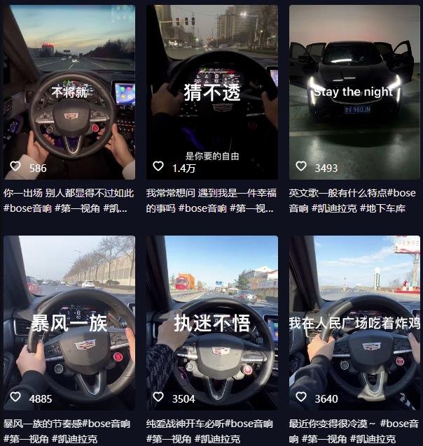抖音开车视频项目,0基础操作,每天五分钟,月入1W+【揭秘】-最全资源库