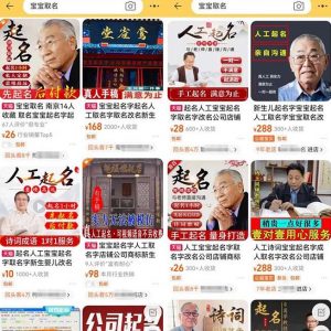 拆解小红书宝宝起名虚拟副业项目，一条龙实操玩法分享给你（教程+软件）-最全资源库