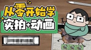 从零开始学实拍加动画，实拍加动画创意教程-最全资源库