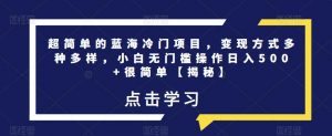 超简单的蓝海冷门项目，变现方式多种多样，小白无门槛操作日入500+很简单【揭秘】-最全资源库