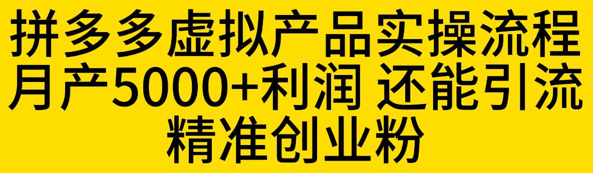 拼多多虚拟产品实操流程，月产5000+利润，还能引流精准创业粉【揭秘】-最全资源库