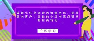 破解小红书运营的流量密码，揽获意向客户，让你的小红书高点赞多粉丝高转化-最全资源库