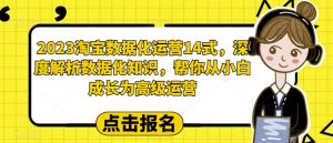 2023淘宝数据化运营14式，深度解析数据化知识，帮你从小白成长为高级运营-最全资源库