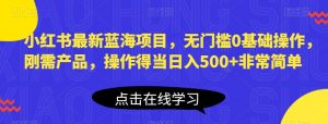 小红书最新蓝海项目，无门槛0基础操作，刚需产品，操作得当日入500+非常简单【揭秘】-最全资源库