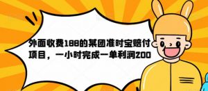 外面收费188的美团准时宝赔付项目，一小时完成一单利润200【仅揭秘】-最全资源库