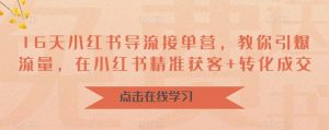 16天小红书导流接单营，教你引爆流量，在小红书精准获客+转化成交-最全资源库
