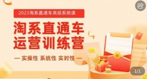 冠东·2023淘系直通车高级系统课，​实操性，系统性，实时性，直通车完整体系教学-最全资源库