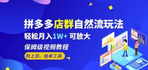拼多多店群自然流玩法，轻松月入1W+保姆级视频教程（附上货、拍单工具）-最全资源库