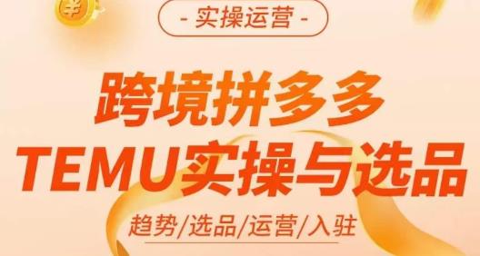 伍跃·跨境拼多多TEMU实操与选品，​趋势/选品/运营/入住（27节完整）-最全资源库