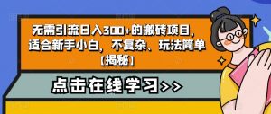 4个冷门副业思路玩法，从0到1，闷声发财，让你实现财富自由【揭秘】-最全资源库