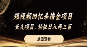 短视频回忆杀撸金项目，长久项目，轻松日入两三张【揭秘】-最全资源库
