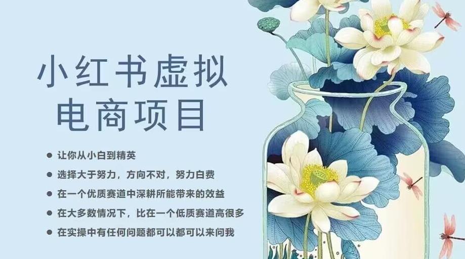 小红书虚拟电商从0到1，让你从小白到精英（20节实操课程）-最全资源库