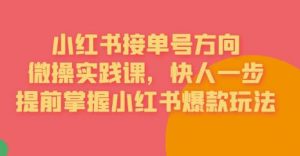 接单号方向·小红书微操实践课，快人一步，提前掌握小红书爆款玩法-最全资源库