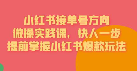 接单号方向·小红书微操实践课，快人一步，提前掌握小红书爆款玩法-最全资源库