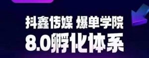 抖鑫传媒-爆单学院8.0孵化体系，让80%以上达人都能运营一个稳定变现的账号，操作简单，一部手机就能做-最全资源库