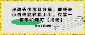 漫改头像项目分解，即使是小白也能轻松上手，仅需一部手机即可【揭秘】-最全资源库