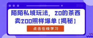 陌陌私域玩法，20的茶西卖200照样爆单【揭秘】-最全资源库