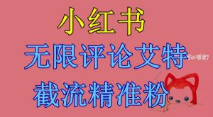 小红书无限评论艾特截流精准粉（软件+教程）-最全资源库