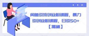 闲鱼引流创业粉课程，暴力引创业粉课程，日引50+【揭秘】-最全资源库