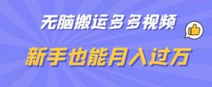 无脑搬运多多视频，新手也能月入过万【揭秘】-最全资源库