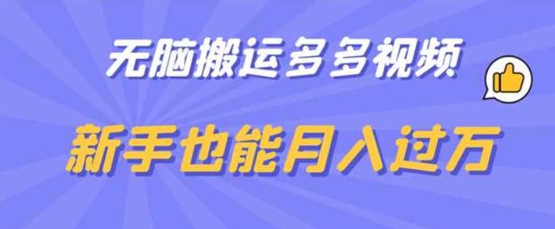 无脑搬运多多视频，新手也能月入过万【揭秘】-最全资源库