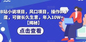 B站小说项目，风口项目，操作0难度，可做长久生意，年入10W+【揭秘】-最全资源库